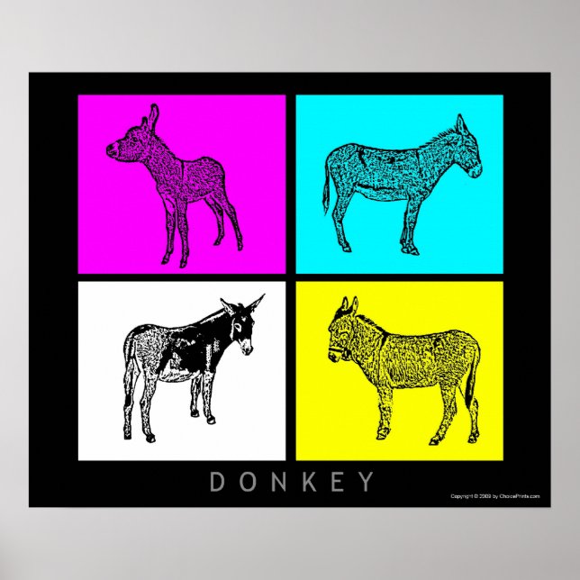 Póster Colorida Donkeys (Frente)