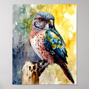Poster Colorida Falcon Watercolor
