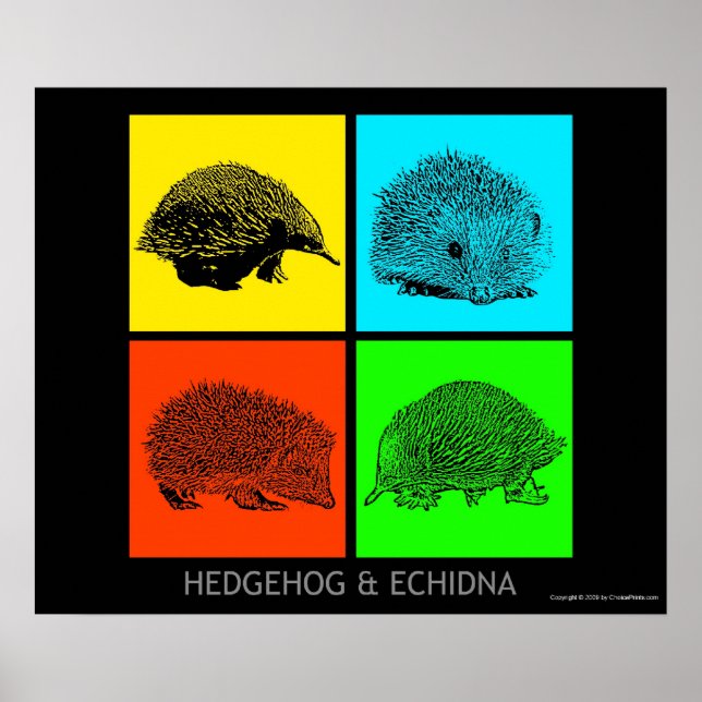 Poster Colorida Hedgehog e Echidna (Frente)