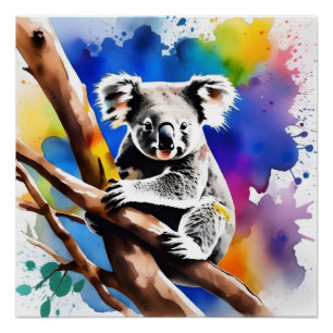Póster Colorida Mancha De Aquarela Do Urso De Koala,