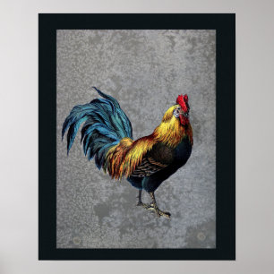 Póster Colorida Rooster Bantam