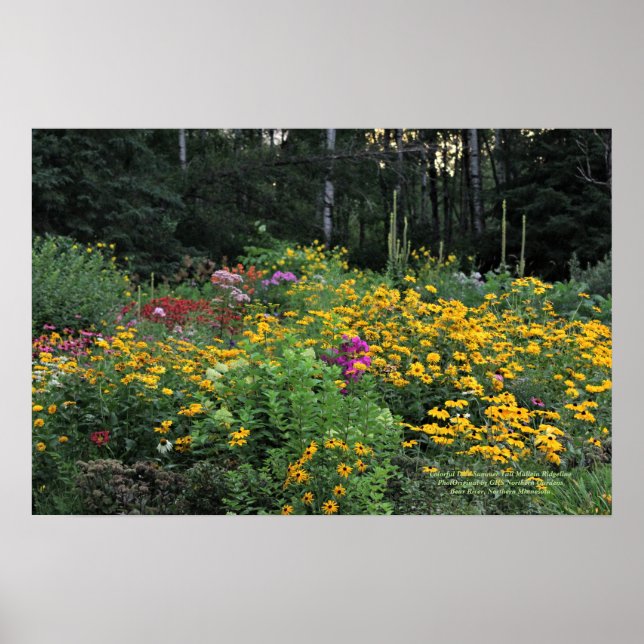 Póster Colorida Tarde Verão de Tall Willein (Frente)