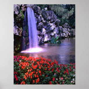 Poster colorido dos waterfass w/flowers