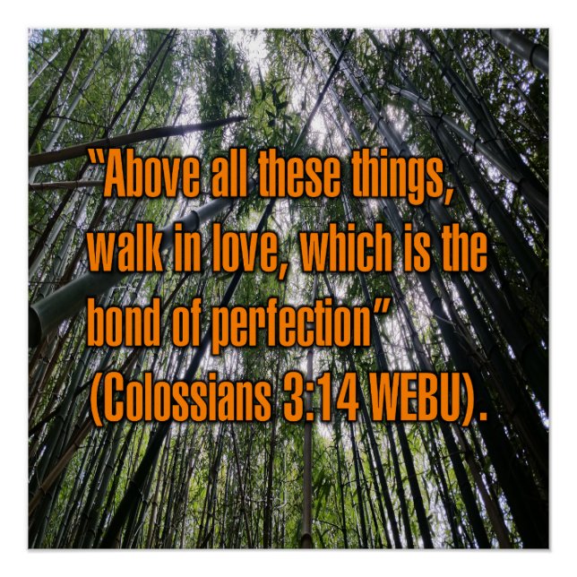 Póster Colossians 3:14 WEBU (Frente)