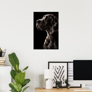 Poster Colosso Gentil