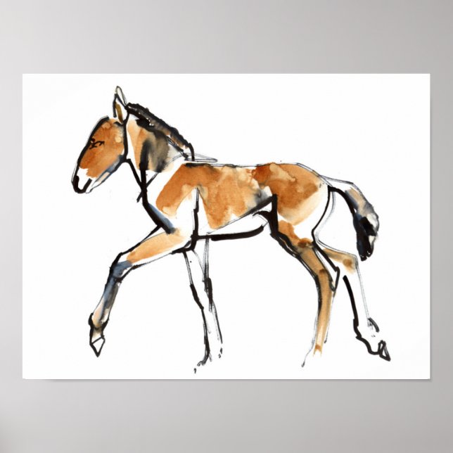 Poster Colt (Frente)