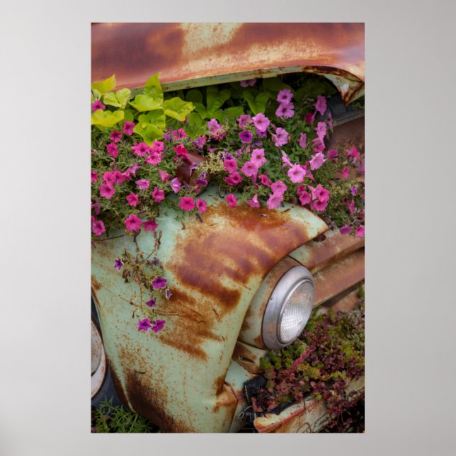 Poster Columbia Falls (Frente)