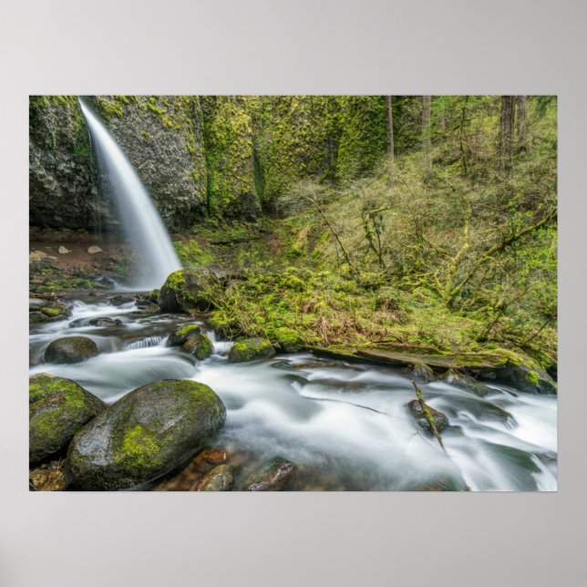 Poster Columbia River Gorge, Ponytail Falls (Frente)