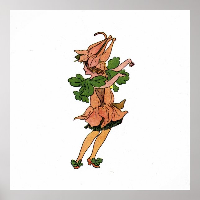 Poster Columbina (Frente)