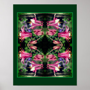 Poster Columbina rosa Flores Fechar Abstrato