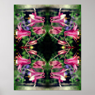 Poster Columbina rosa Flores Fechar Abstrato