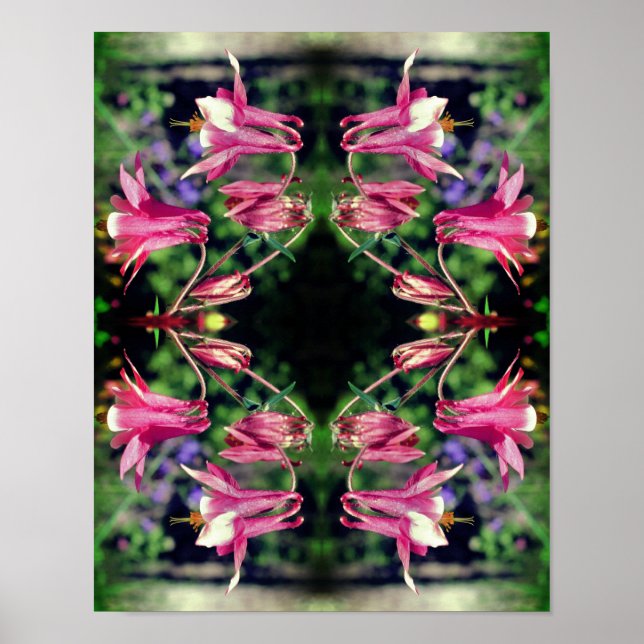 Poster Columbina rosa Flores Fechar Abstrato (Frente)