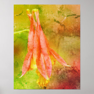 Poster Columbine Flower Abstrato