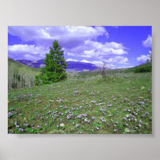 Póster Columbine Hill