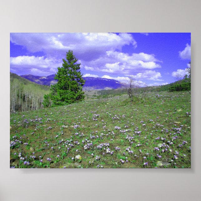 Póster Columbine Hill (Frente)