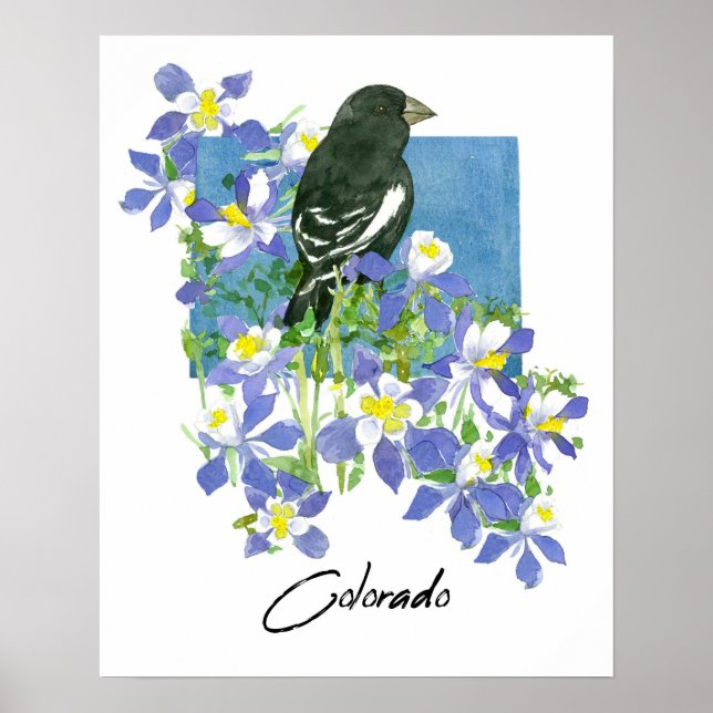 Poster Columbine Montanha Flores Colorado Lark Bunting (Frente)
