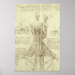 Póster Coluna da coluna vertebral da anatomia humana por