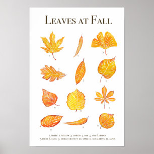 Poster Coluna das folhas de outono