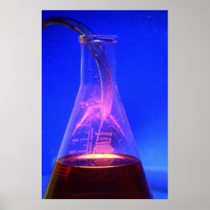 Poster Coluna e bisnaga