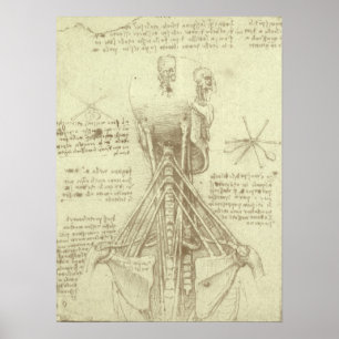 Póster Coluna espinhal de Anatomia Humana de Leonardo da 