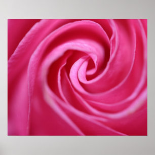 Póster Coluna rosa cor-de-rosa