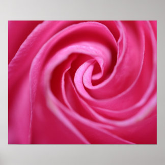 Póster Coluna rosa cor-de-rosa