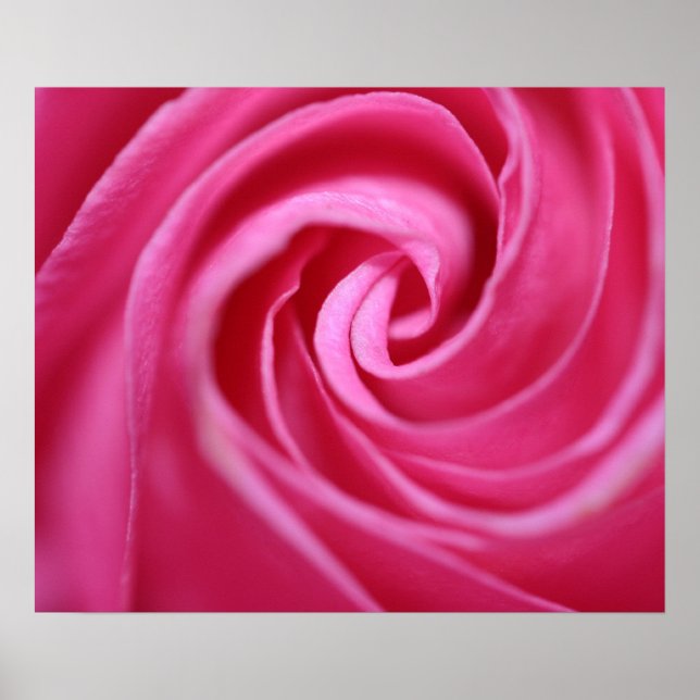Póster Coluna rosa cor-de-rosa (Frente)