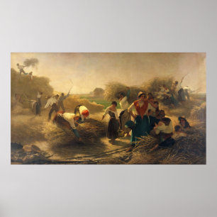 Póster Colza Threshing nos campos de Lille