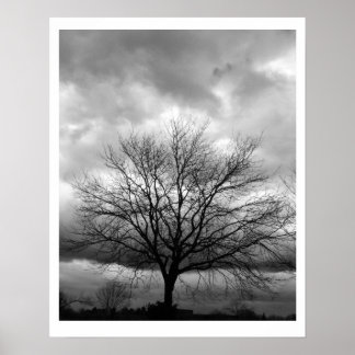 POSTER com a opção de atualização 'Nuvens de Tempe