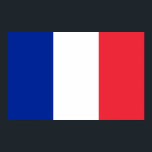 Poster com bandeira da França<br><div class="desc">Belo poster com bandeira da França. Este produto é personalizável.</div>