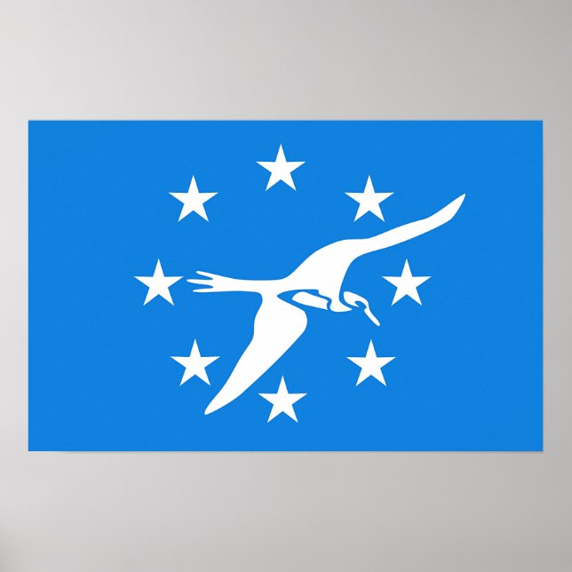 Poster com bandeira de Corpus Christi, EUA (Frente)