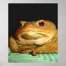 Com Pintura De Disposição Filosófica