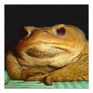 Póster Com Pintura De Disposição Filosófica