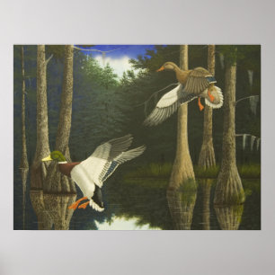 Póster Com segurança casa