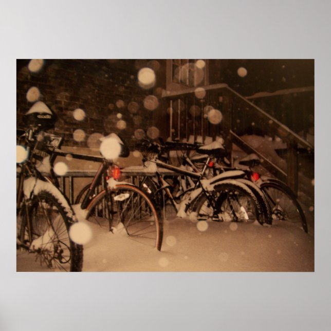 Poster com uma bela fotografia de inverno (Frente)