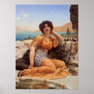 Poster Com Violetas Amarrados e Telhado de Saffron Hue