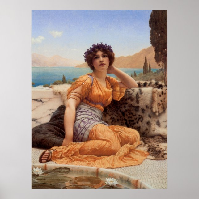 Poster Com Violetas Amarrados e Telhado de Saffron Hue (Frente)