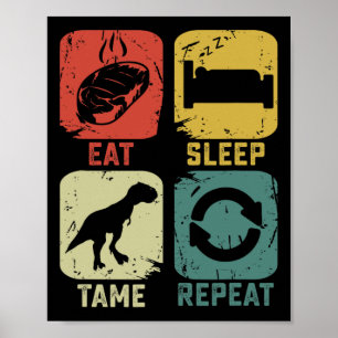Poster Coma Dorme Domar Repita Dinossauro Jogos Geektásti