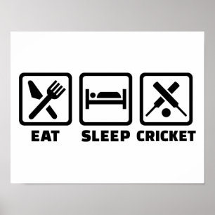 Poster Coma o grilo do sono