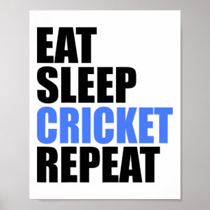 Poster Coma Sonho Críquete Repita Equipe Liga Amador Prof