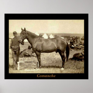 Poster Comanche