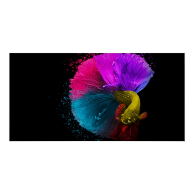 Póster Combat Fish - Poster (Frente)