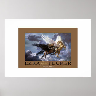 Póster Combatendo Pegasus