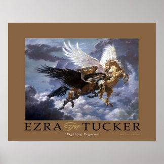 Póster Combatendo Pegasus