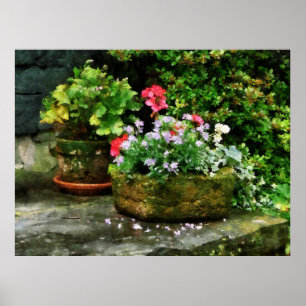 Póster COMEÇAR SOB $20 - gerânio e flores da lavanda