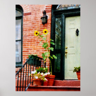 Poster COMEÇAR SOB $20 - girassóis no Stoop