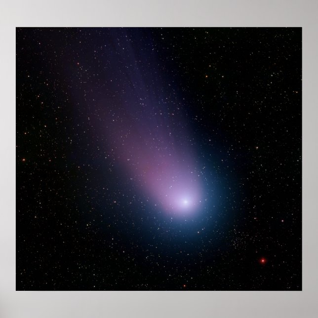 Póster Comet NEAT (Frente)