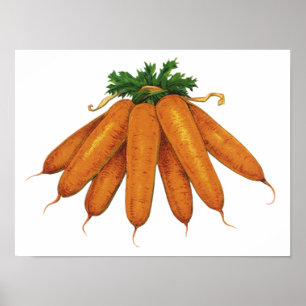 Póster Comida Antiga, Molho de Cenouras Orgânicas Legumes