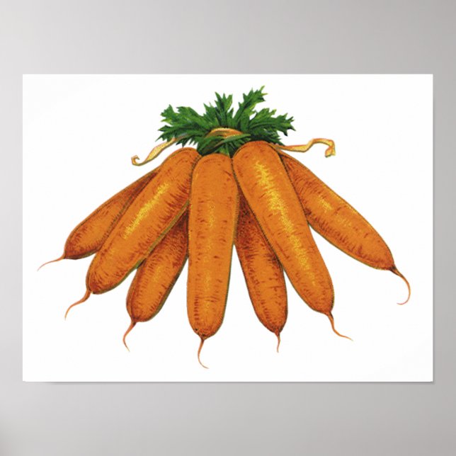 Póster Comida Antiga, Molho de Cenouras Orgânicas Legumes (Frente)