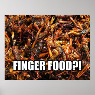 Poster Comida asiática fritada do gafanhoto (Takkataen